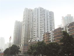 兩地車(chē)牌政策調(diào)整 珠海樓市迎短暫波動(dòng) 替代政策或助力實(shí)業(yè)投資